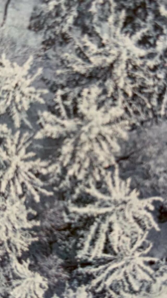 apollosiegen.de/advent

Adventskalenderzeit! Rätselzeit! An jedem Tag eine neue Chance, zu gewinnen!

Das Apollo-Theater Siegen stellt 24 Fragen an 24 Tagen, und seine Mitarbeiter:innen (heute: Schauspieler Torben Föllmer) haben 24 Sekunden Zeit, um zu antworten. 

8 Stunden Zeit, um herauszufinden, von welcher Veranstaltung der restlichen Spielzeit die Frage inspiriert war, habt ihr als begeisterte(s) Apollo-Follower und Apollo-Publikum!

Der richtige Veranstaltungstitel unten in die Kommentare gepostet bringt ermäßigte Eintrittskarten und zum großen Finale hin 2 mal 2 Freikarten für eine beliebige Veranstaltung bis zum Ende der Spielzeit.

apollosiegen.de/advent hat alle Infos und auch die Liste der Veranstaltungen, die Inspirationsquellen für die besonderen Fragen waren.

Auf los geht's los!

#adventadvent #adventimapollo #sovielefragen #sovieltheater #miträtseln #mitspielen #gewinnen #apollotheatersiegen #immerlive #immeroffenfüralle
